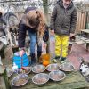 Sarah & Rohan hondjes eten geven