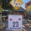 Nummer 23 Trans Thuringia 2019
