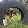 Onze Hussen eten BF Petfood