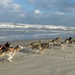 Trainen aan het strand