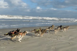 Trainen aan het strand