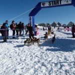 Han, Cindy aan de start