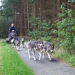 langs de camping