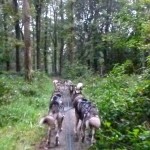 wat denk je weer een bruggetje