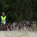 IMG_8540