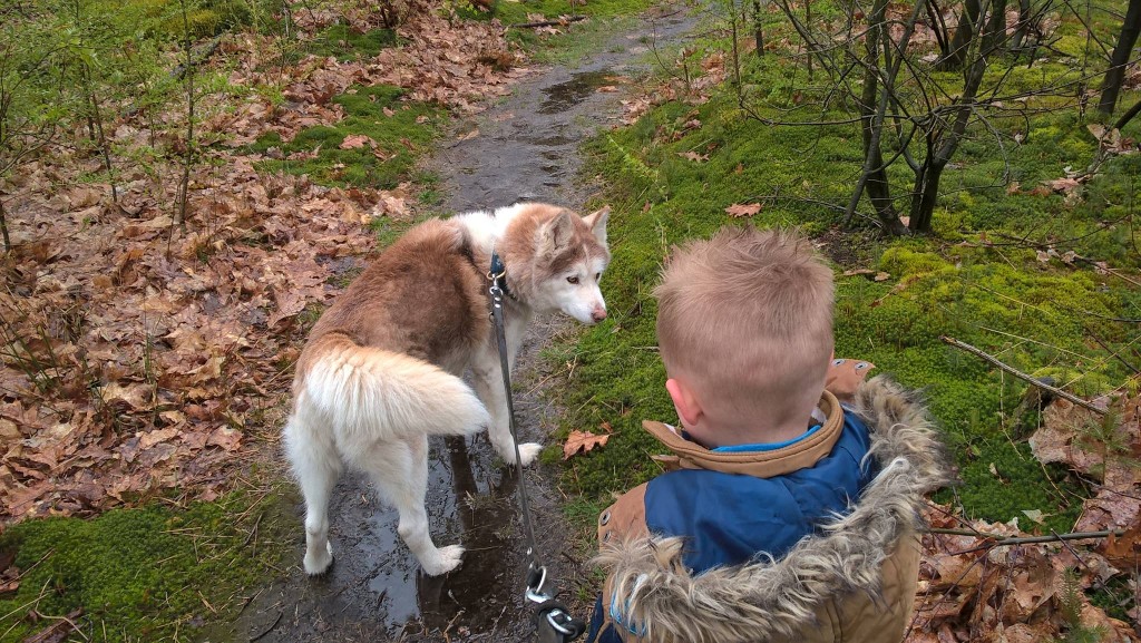 Samen over het bospad