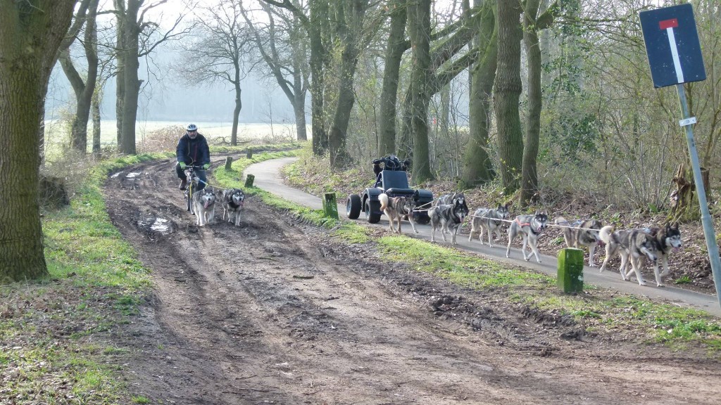 Naar de bus