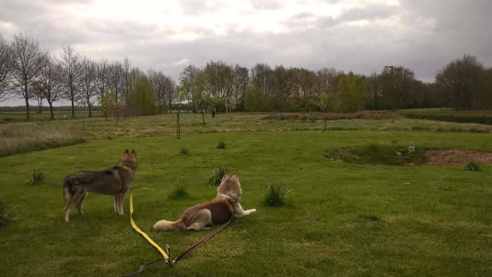 Samen op de uitkijk