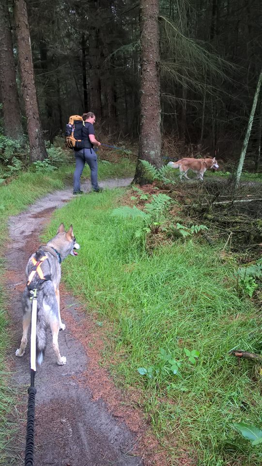 Hike in het bos