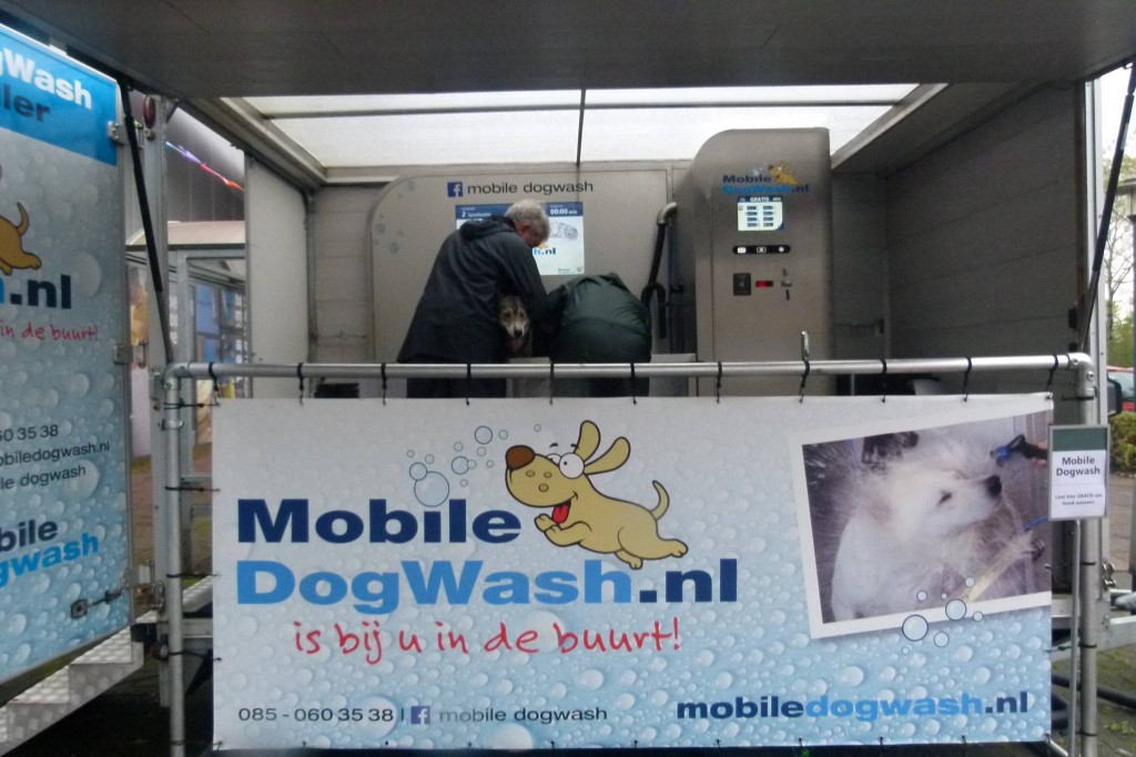 Dogwash