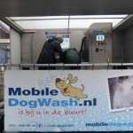 Dogwash