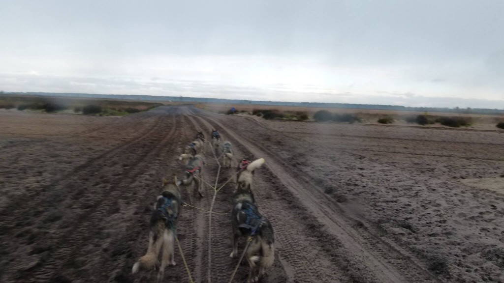 en nog meer zand