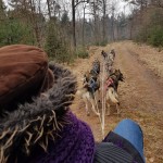 Paas Brunch Sledehondentocht