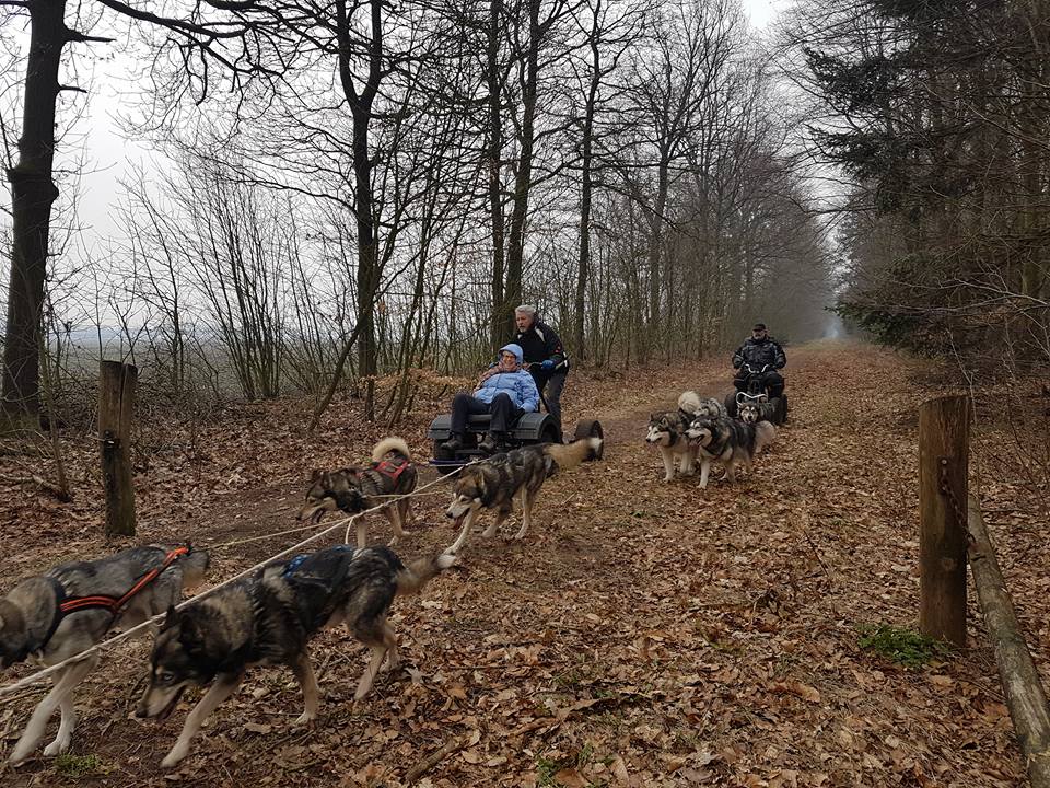 Paas Brunch Sledehondentocht