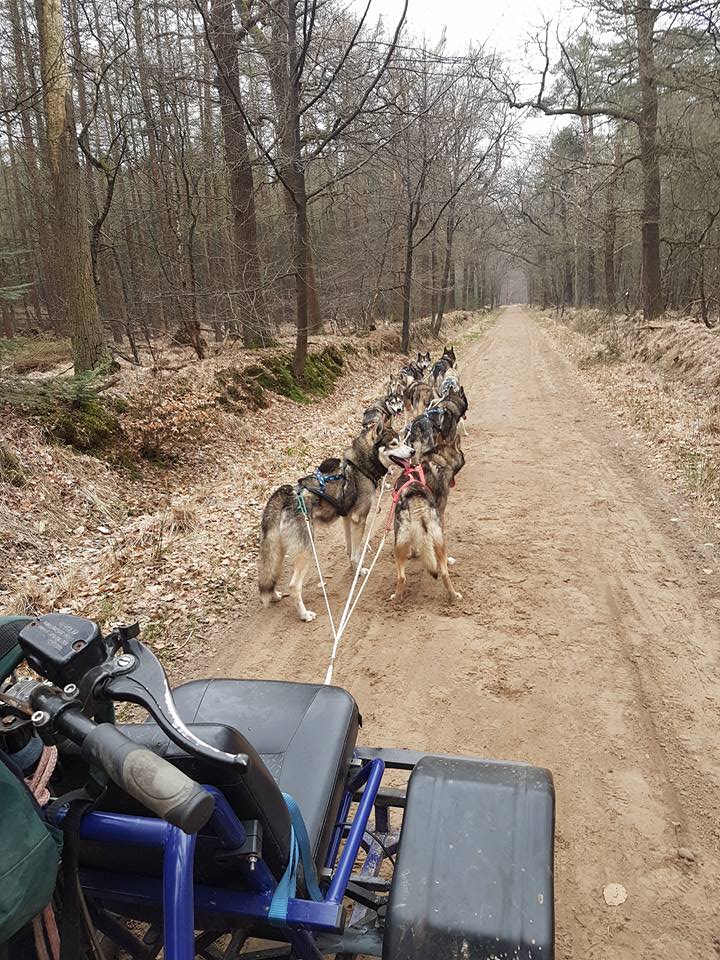 De paden met vers zand