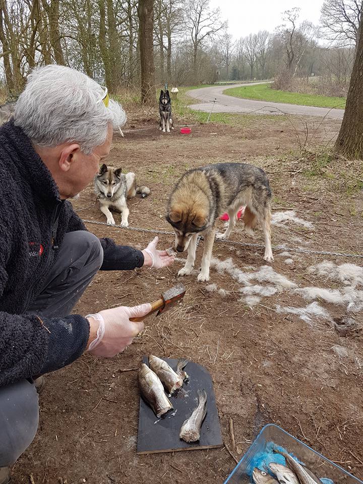 Sushi voor Eska