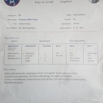 Uitslag