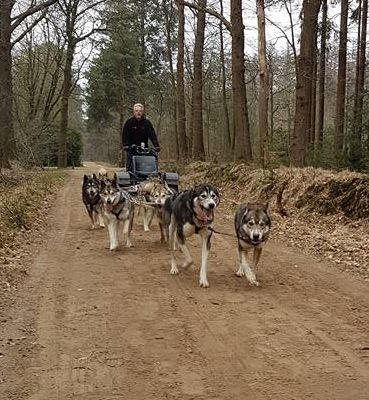 Team onderweg