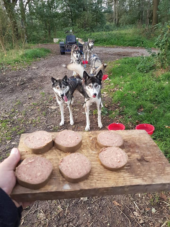 Blije snuiten