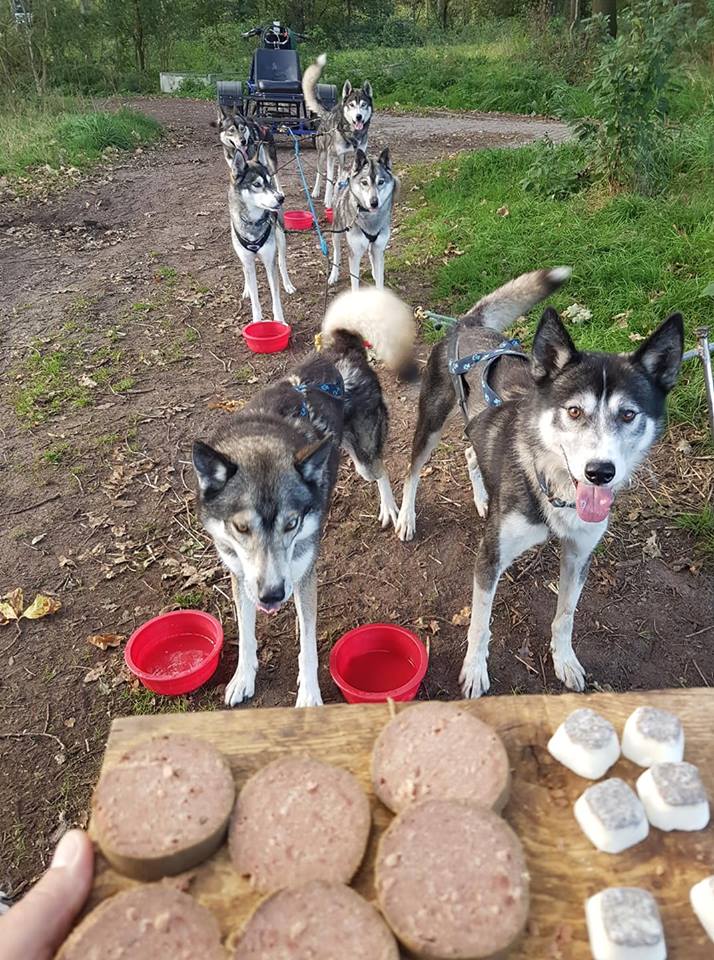 Tappas voor de honden