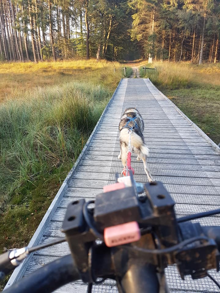 Over de brug