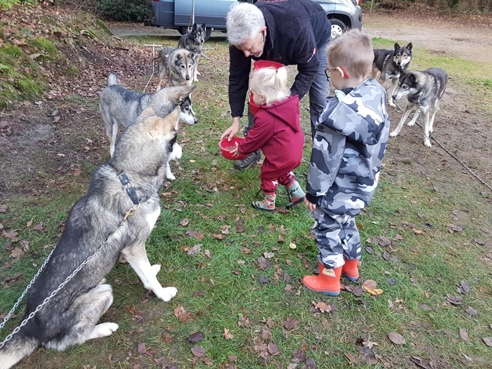 Handlers in opleiding