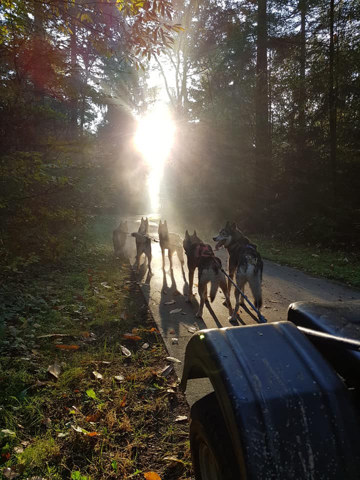 team in de zon