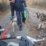 Findus de blije sledehond