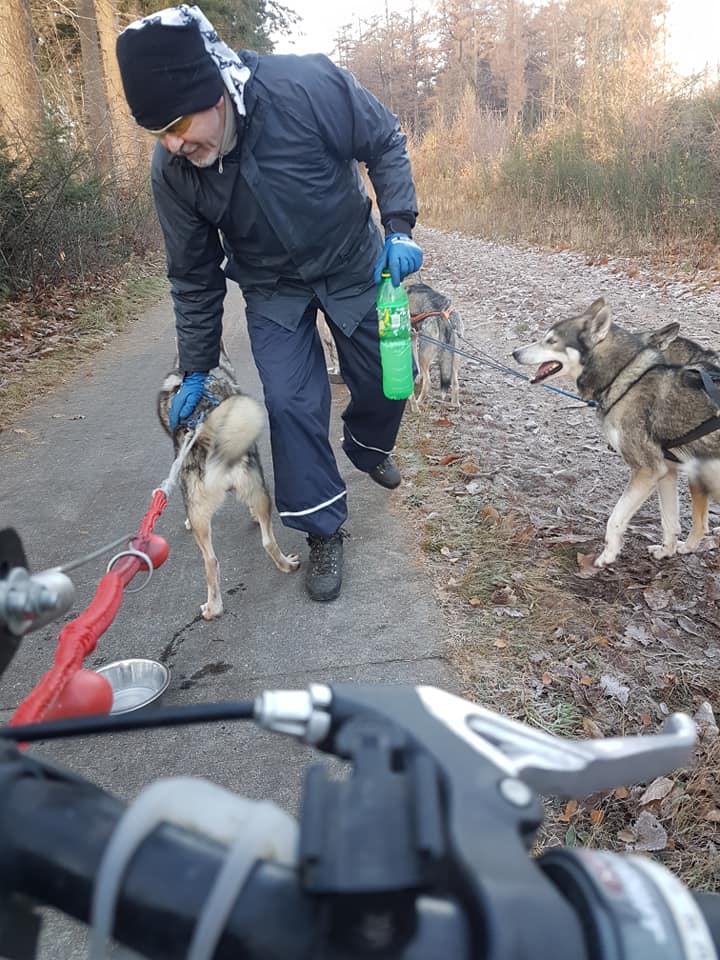 Findus de blije sledehond