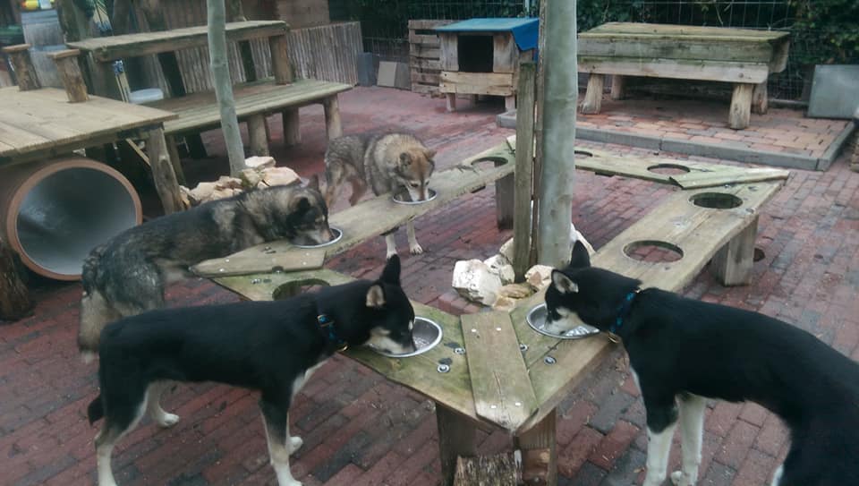 Huskybar met 4