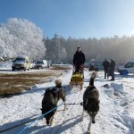 Rienk vanaf sportplatz