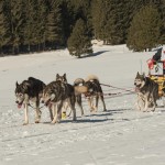 Berg op naar finish