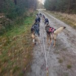 Aftrainen