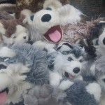 husky wasdag