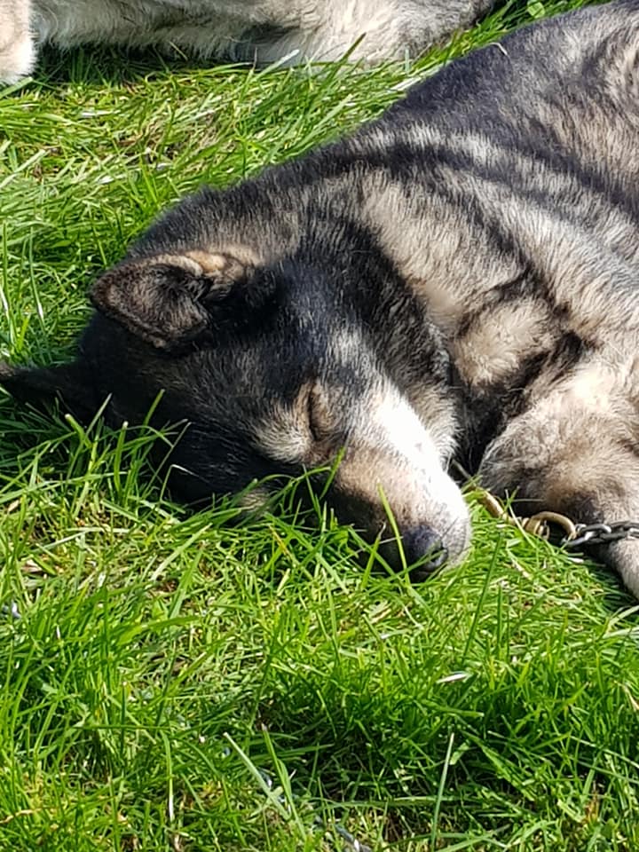 Lekker in het gras