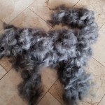 Complete nieuwe husky