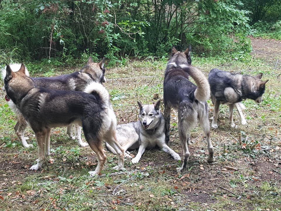 Sky en de mannen