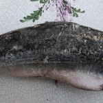Mooie Zalm