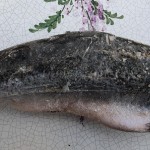 Mooie Zalm