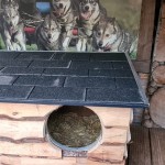 Chibewyan Dog House