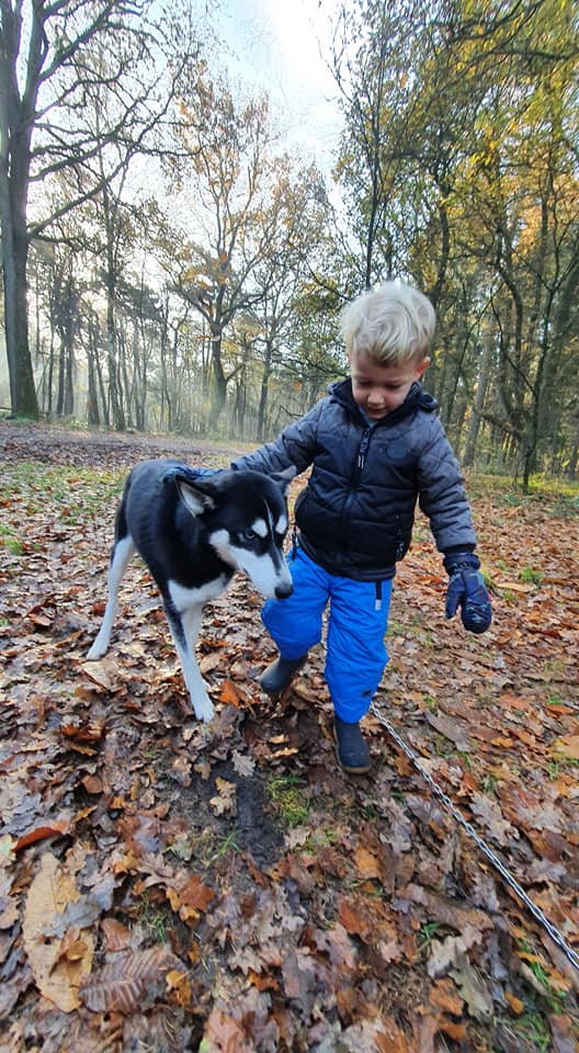 Rohan en Djoy