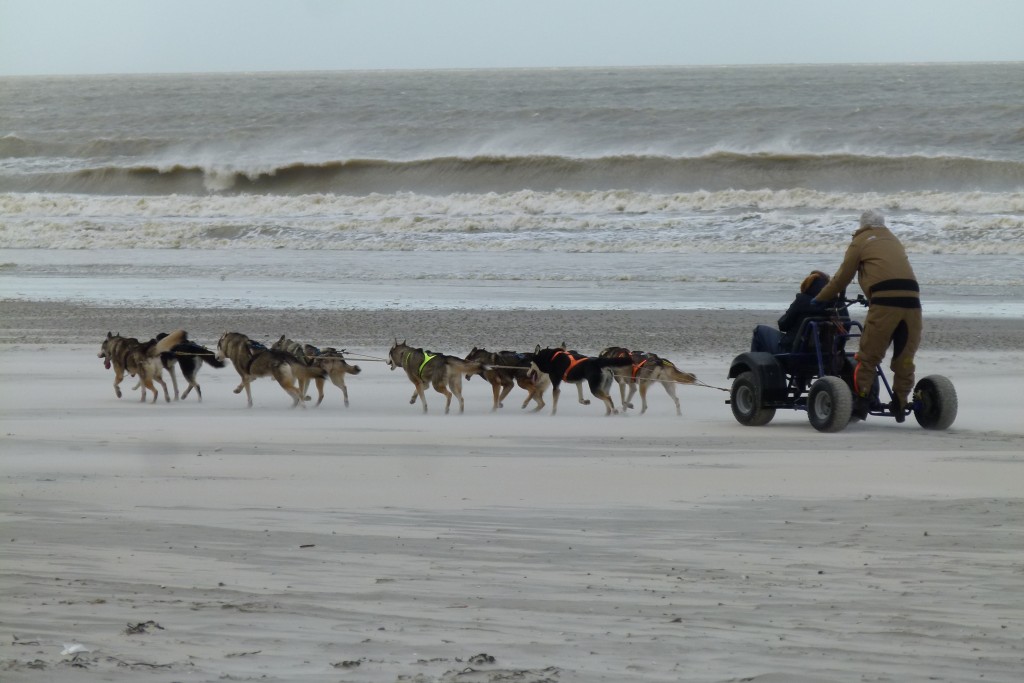 Langs het strand