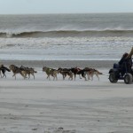 Langs het strand