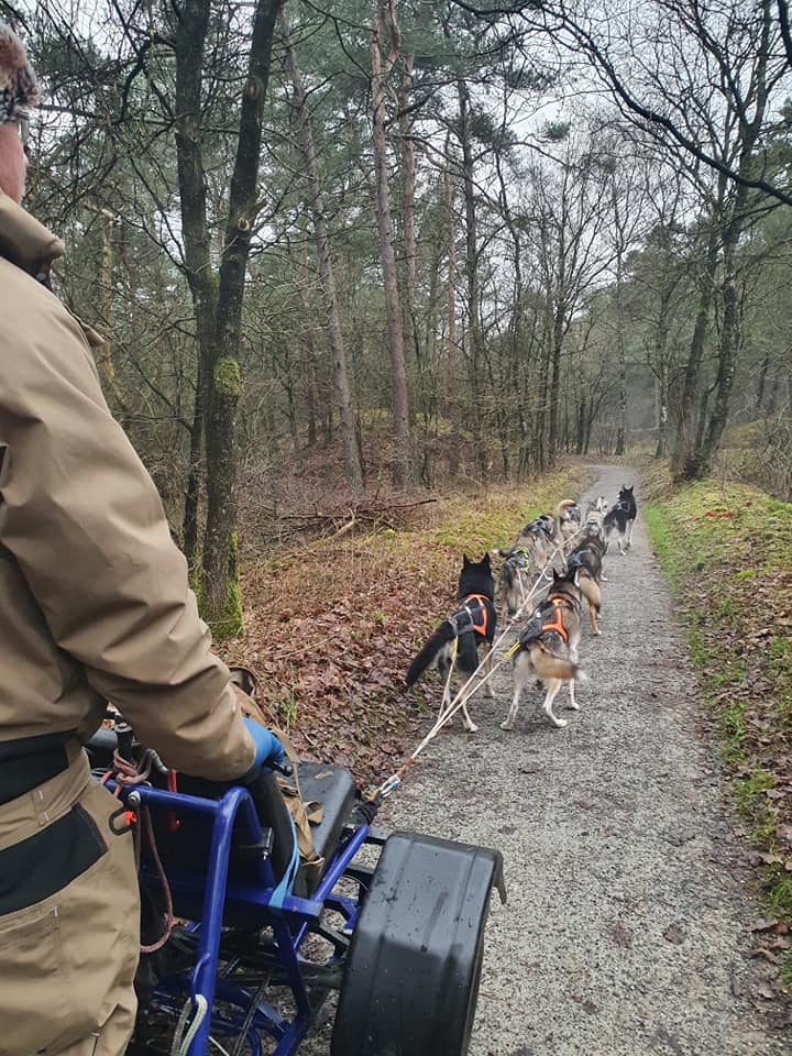 Daar gaan ze