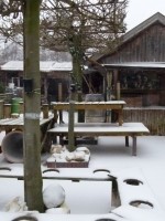 Chibewyan sneeuw tuin