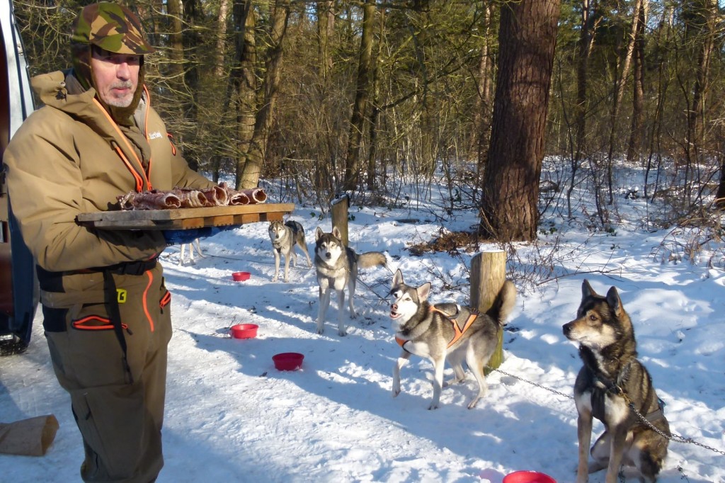 Tapas voor husky