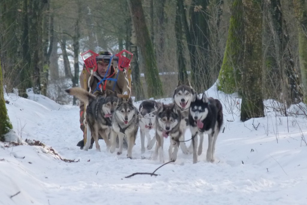 Chibewyan Team