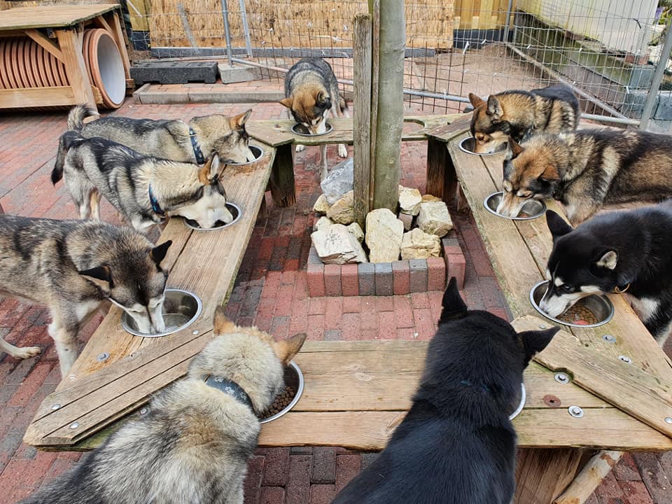 De Huskybar met Biofood