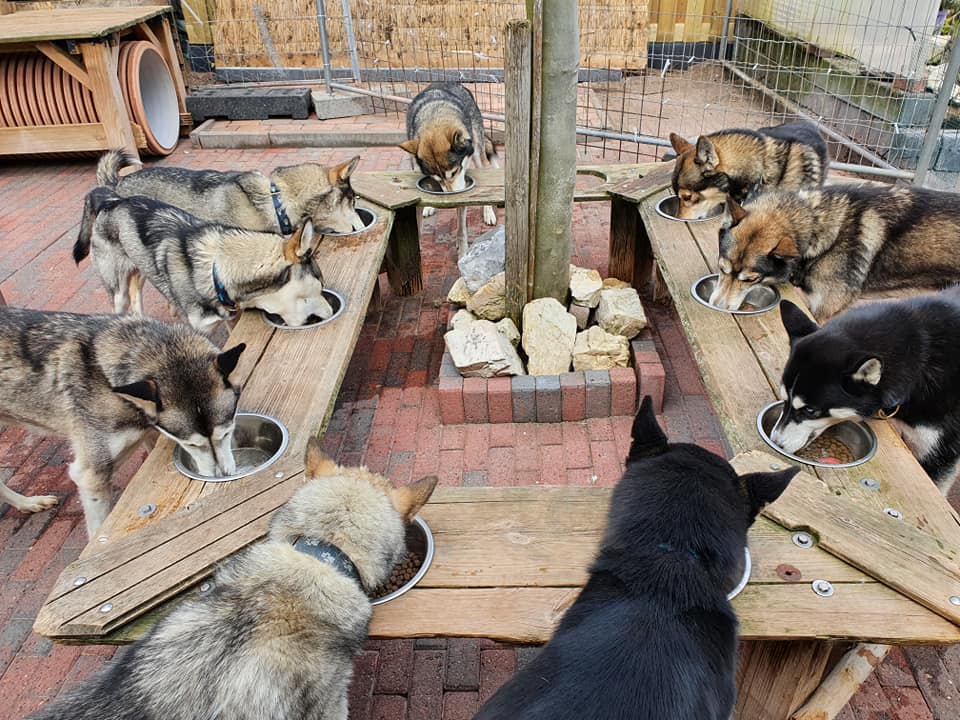 De Huskybar met Biofood