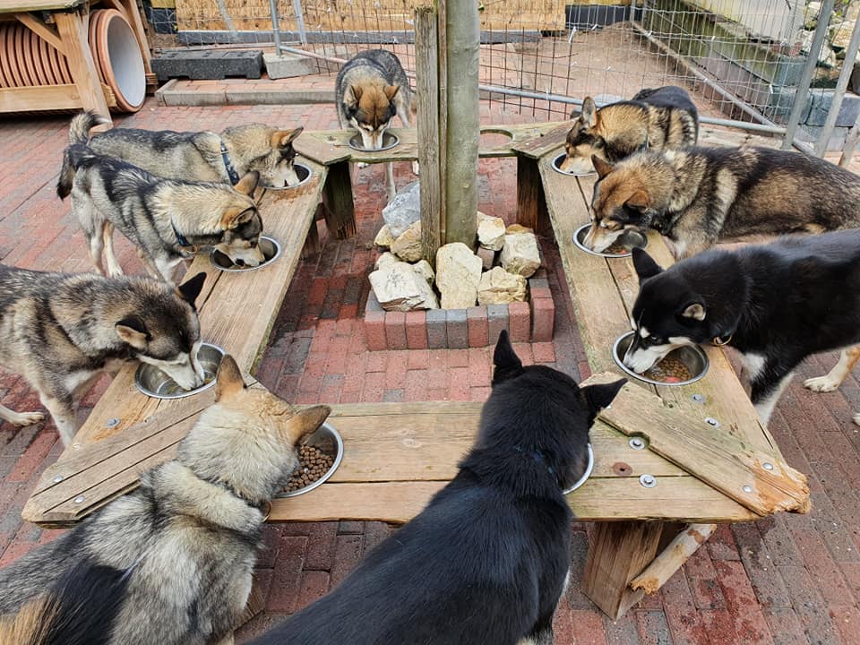 met zijn allen aan de huskybar